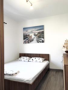 Apartman Misovic