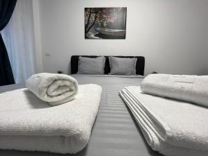 Perfect Host Central Palas Studio