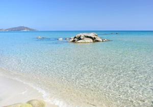 Casa vacanze Sanseveria img31