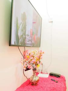 Kelys Transient San Pablo Laguna