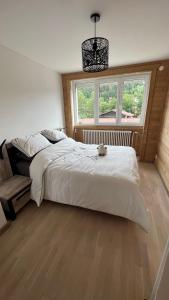 Appartements Gite neuf tt confort 2 Pers a Xonrupt : photos des chambres