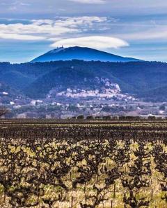 Appartements Logement au pied du Mont Ventoux : photos des chambres