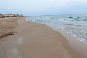 Apartamento a 250 metros de Playa Deveses - Piscina y Relax Denia