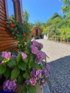 CABANA GOTAN - Fundu Izei