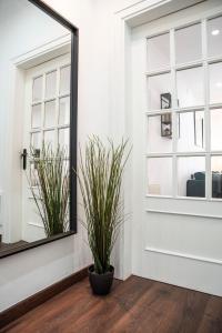 Design apartment plaça La font