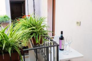 Casa Giulini - The House Of Travelers