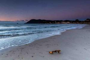 T2 agréable proche de la mer (mar vivo-sablettes)