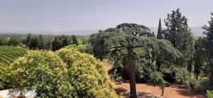 B&B / Chambres d'hotes Bed and Breakfast La Grande Lauzade : photos des chambres