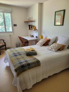 Sejours chez l'habitant Appartement pechDavid SUD : photos des chambres