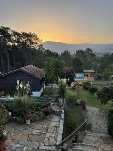 Shakti Rio Mino - Tabagón