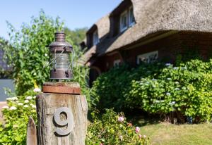 Hortensie - Reetdachhaus Petersen