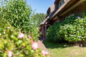 Hortensie - Reetdachhaus Petersen