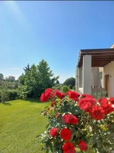 Grand Afroditi LUX - Áyios Ioánnis