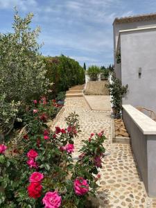 Maisons de vacances Maison avec ses 2 terrasses et sa piscine : Maison 1 Chambre