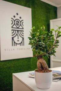 Villa Teresina img47