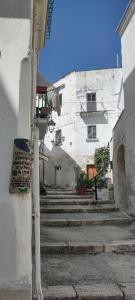 Casa Alisea