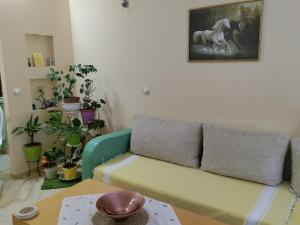 Central apartment