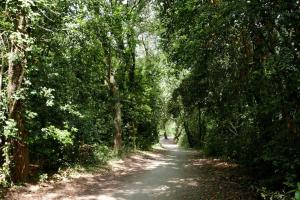 Villas Villa situee entre mer et foret : photos des chambres