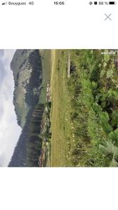 Appartements Studio a la montagne / Sommand/Praz-de-Lys : photos des chambres