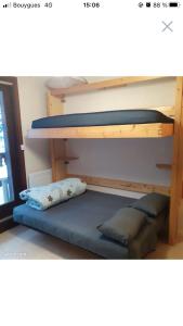 Appartements Studio a la montagne / Sommand/Praz-de-Lys : Appartement 1 Chambre