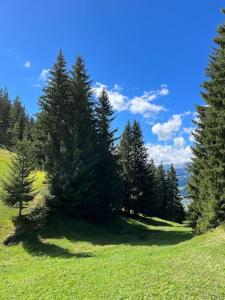 Beautiful Swiss chalet with breathtaking views and a sauna