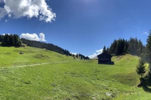 Beautiful Swiss chalet with breathtaking views and a sauna