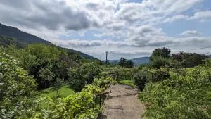 Shin•შინ - Motsameta