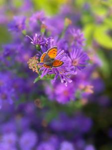 Ferienwohnung Fam. Lerch