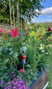 Ferienwohnung Fam. Lerch