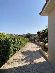 House with Garden in Peratata - 10 from City Center