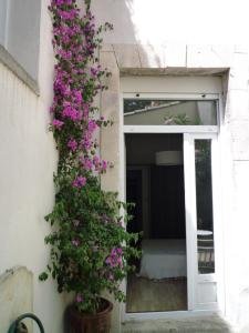 Appartement Avignon centre intra muros Cour extérieure Parking privé gratuit