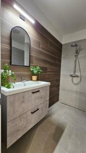 2 room Apartment with terrace, new building, 413
