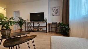 2 room Apartment with terrace, new building, 413