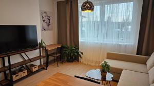 2 room Apartment with terrace, new building, 413