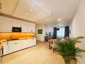 3 room Apartment 2x balcony, new building, 21