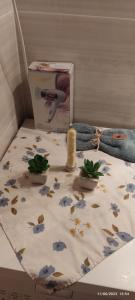 Aunt Vaso Sweet Home