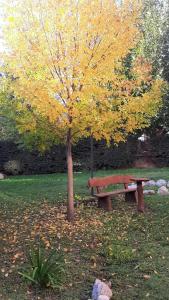 Cabañas Gemas del Lago