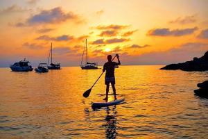 Appartements jardin plage avec 2 paddles, du calme et de l'ombre : photos des chambres