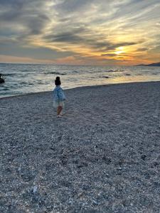 Coral Paradise Apartament in the first line of the sea