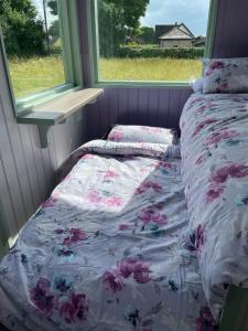 Market Street Shepherds Hut Leitrim