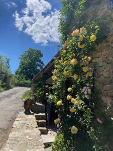 Maisons de vacances La Frigoule, un gite au coeur du parc des Cevennes : photos des chambres