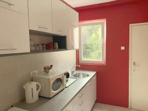 Central Park Apartment