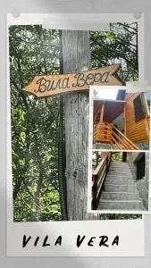 Vila Vera Vrsac - Deta