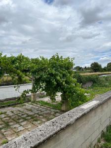 Appartements Superbe appartement au bord du canal de St Quentin : photos des chambres