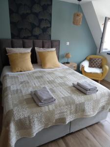 Maisons d'hotes Gites Ostheim : photos des chambres