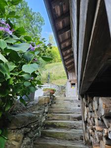 Traditional Chalet with some luxurious features