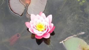 Drenthse-Groninger landschap