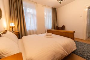 Radus - Traditional Ultracentral Apartment in the Old Town