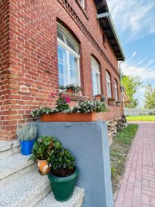 Apartamenty Cegiełka
