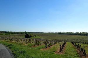 Maisons de vacances Entre Pierre et Vigne - Charming former Winery Farmhouse with Hot Tub : photos des chambres